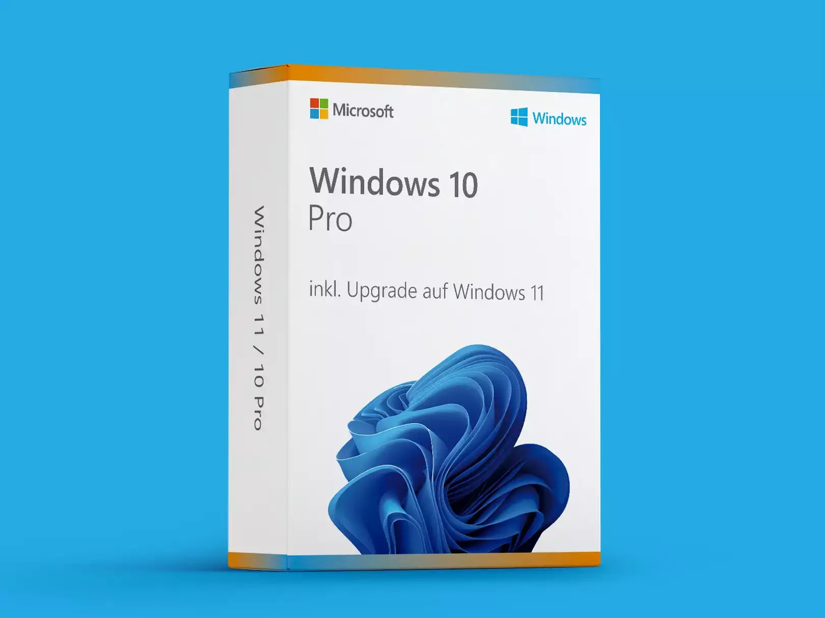 Microsoft Windows 10 / 11 Pro